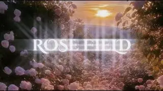 ROSE FIELD | Shifting Motivation Subliminal | Self Love | Believe in yourself | READ DESC
