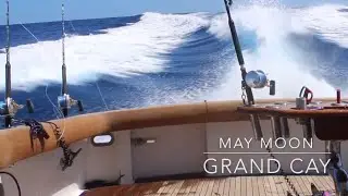 Marlin fishing Walkers Cay, Grand Cay Bahamas May full moon 2019 Aboard 61 Hatteras &ldquo;Miss Wilder&rdquo;
