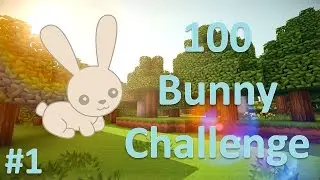 A New Start | 100 Bunny Challenge | Ep.1