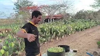 Benedito mostra mais um dia de moenda