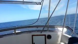 Riviera 38 Blue Water series Cruiser cruising down the Eastcoast of NSW