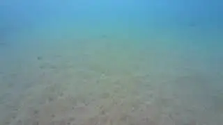 Underwater Fireman Beach2