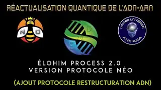 R&Eacute;ACTUALISATION QUANTIQUE DE L'ADN (&Eacute;LOHIM PROCESS 2.0) - version protocole N&Eacute;O.