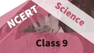 Class 9: Science (Chapter 6: Tissues)