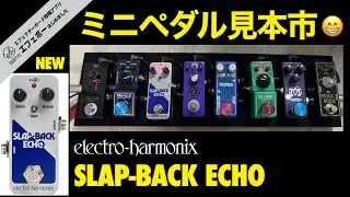 第2167回　新製品SLAP-BACK ECHOを搭載㊗️ミニペダルオンリーボード♪【エビーロードの海老名からエフェボーチャンネル】