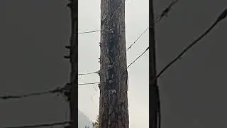 electric shock#electrician #electrical #dangerous