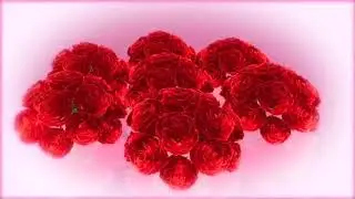 Forgive me official video by victor Robinson