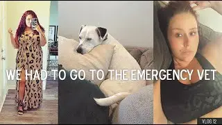A Trip to the Emergency Vet, My Bro had to Stab me, Weekends - Vlog 12 | Curves, Curls and Clothes