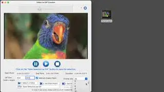 Video to GIF Creator for macOS