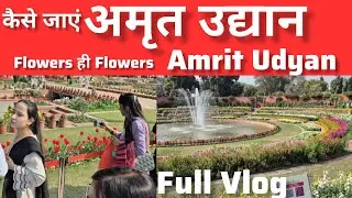 Amrit Udyan 2026 ~ Mughal Garden Rashtrapati Bhavan New Delhi #amritudyan #rashtrapatibhawan #delhi 