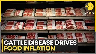 South Africa: Meat Prices Hit Eight-Year High; 12.6% Higher Than a Year Before | WION NEWS