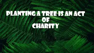 PLANTING A TREE IS AN ACT OF CHARITY | Flee To Success |