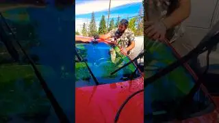 windshield minister windshield replacement and repair 587-897-8186 #foryou #automobile #canada #yyc