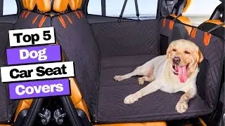 Best Dog Car Seat Cover for Back Seat 2023