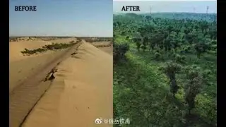 PAANO NAGING FOREST ANG DISYERTO SA TSINA