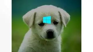 Windows Codename Dog 2