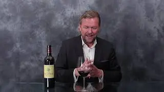 Clos Puy Arnaud - 2019 - Castillon C&ocirc;tes de Bordeaux