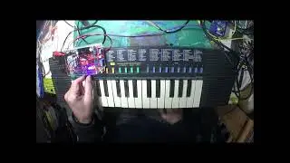 Casio SA 20 Demo destroy
