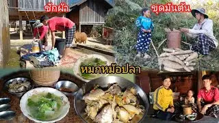 พาน้องพลอยไปขุดมันต้น ชักเสื้อผ้า ทำกับข้าวเที่ยง หมกหม้อปลา+เขียด ต้มผักกาด-บ่าวยืง