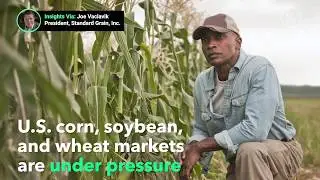 2019 Grain Market
