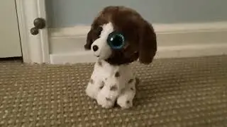 The beanie boos presentz: RAP BATTLE