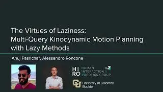 The Virtues of Laziness: Multi-Query Kinodynamic Motion Planning with Lazy Methods [ICRA 2024]