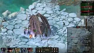 Fighting Neriscyrlas Veteran Difficulty PoE 2:Deadfire