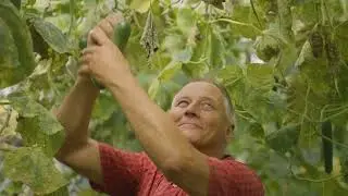 Detmold Zukunft der Landwirtschaft