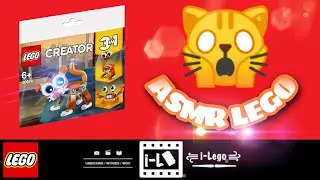 Building a LEGO Set ASMR No Talking LEGO CREATOR 3in1 30574 #lego #asmrlego #iLego #unpacking #3in1