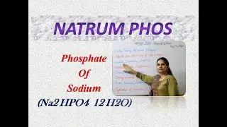Natrum Phos Drug Picture in Hindi/ Easy Understanding!!!!