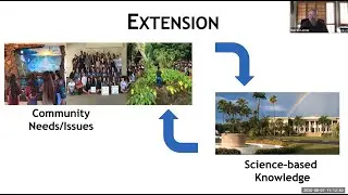Insights for a Sustainable Future: What Can We Learn from the Climate Crisis and COVID-19?