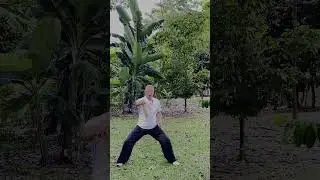 Short Stick Chin Na Basics | Horse & Bow Stance Throwing and Control马步弓步短棍擒拿基本功｜抛抓拧旋训练与步型配合解析