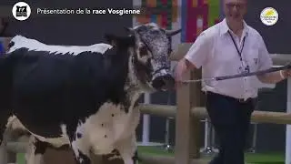 SIA 2023 : PRESENTATION DE LA RACE VOSGIENNE