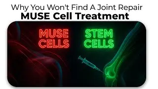 Why You Won't Find A Joint Repair MUSE Cell Treatment at DBC