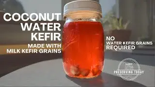 Make Coconut Water Kefir with Milk Kefir Grains