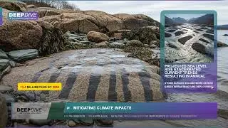 Miami flooding solutions: Sea Level Rise Crisis, Economic Impact & Climate Adaptation Strategies
