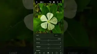 lightroom mobile editing tutorial
