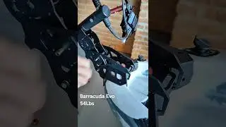 Sistema Pro, Caiaque Barracuda Evo, motor 54 lbs