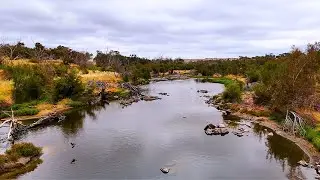 DJI Air 3 drone *RELAXING* Southwest River Flight | Australian Wildlife