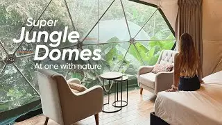 Super Jungle Domes: The Ultimate Glamping Experience in the Andes