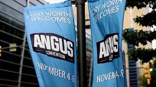 2017 Angus Convention Highlights
