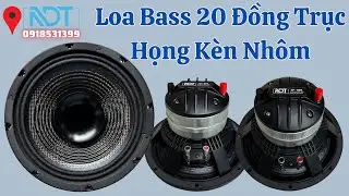 Loa Bass 20 Từ Neo Đồng Trục, Kèn Nhôm LF và HF