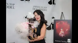 How to Get to the Top - Working the Red Carpet