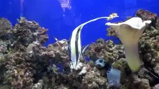 V60502-213351.mp4
