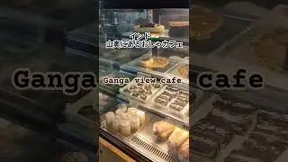 【インド山奥にあるおしゃカフェ】リシケシで激うまチーズケーキ #india #vlog #旅行 #rishikesh #travel
