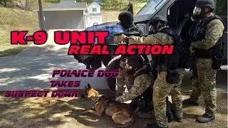 K-9 REAL ACTION | Police Dog Takes Suspect Down