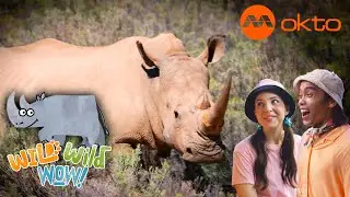 🦏 KIDS PROTECTING RHINOS 🌍 ANIMAL ADVENTURE 🧒| Wild Wild Wow S3E11A | @mediacorpokto