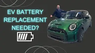 EV Battery Degradation After One Year Health Check! The Truth