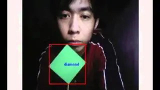 Shape Tracking