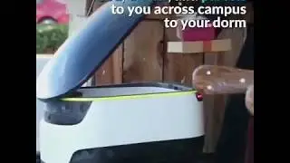 The most interesting delivery robots